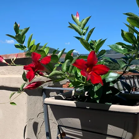 Piccola Dimora Oda ve Kahvaltı