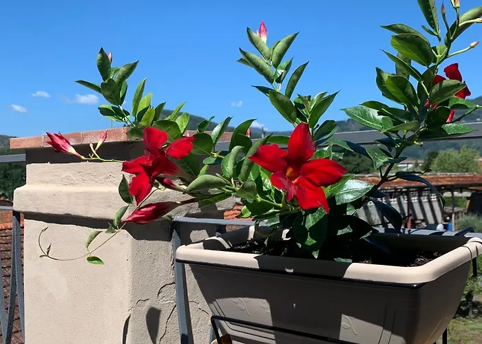 Piccola Dimora ベッド・アンド・ブレックファスト