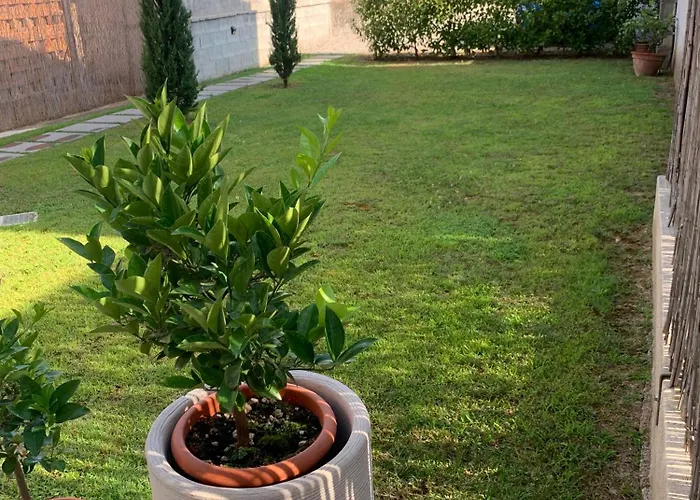 ベッド・アンド・ブレックファスト Piccola Dimora 3*